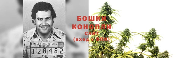 гидропоника Абаза
