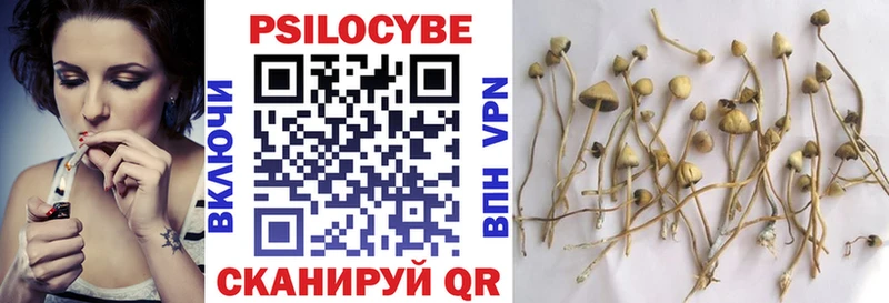 Псилоцибиновые грибы Cubensis  купить закладку  Оса 